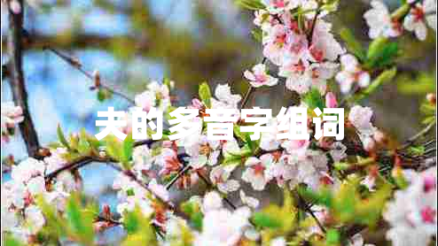 夫的多音字組詞