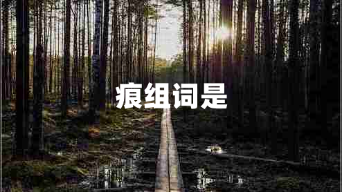 痕組詞是