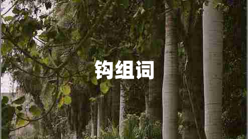 鉤組詞