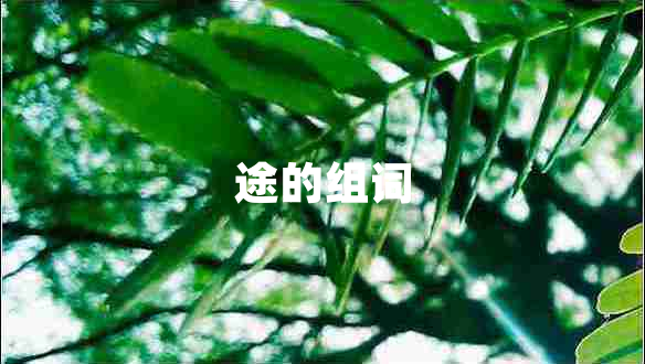 途的組詞