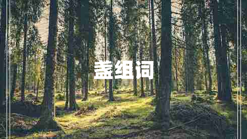 盞組詞