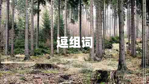 逗組詞