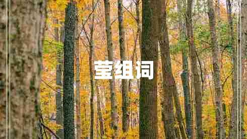 瑩組詞