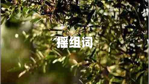 搖組詞