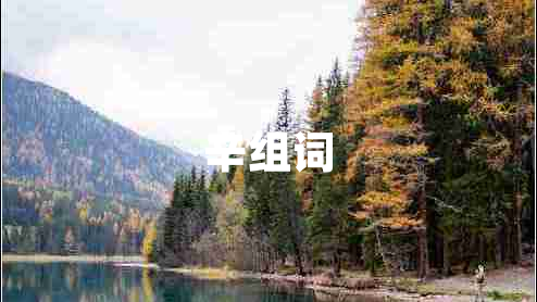 辛組詞