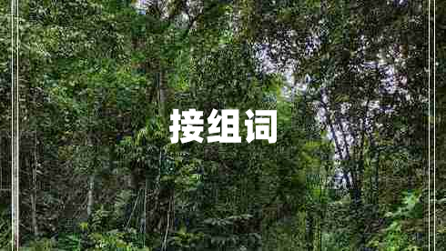 接組詞