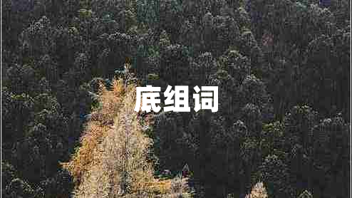 底組詞