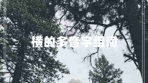 橫的多音字組詞