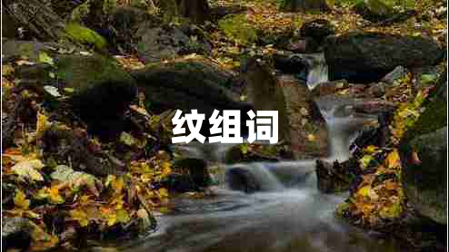 紋組詞