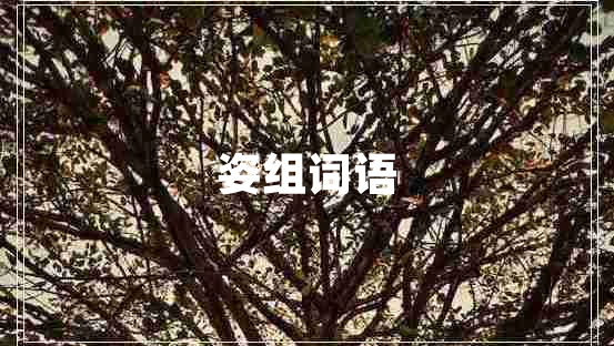 姿組詞語(yǔ)