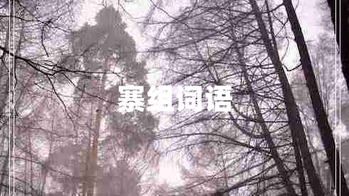 寨組詞語