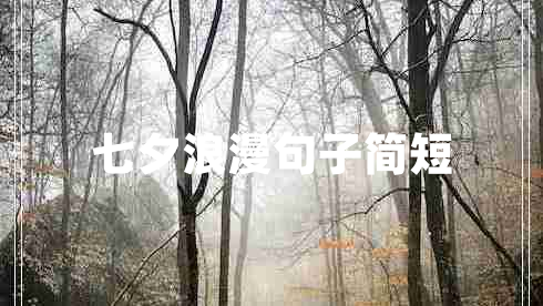 七夕浪漫句子簡(jiǎn)短