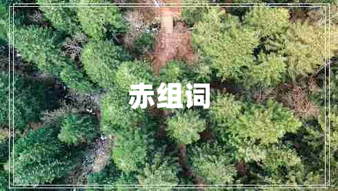赤組詞