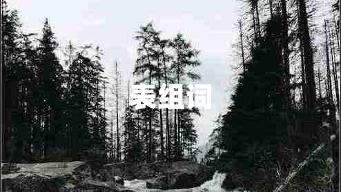 表組詞