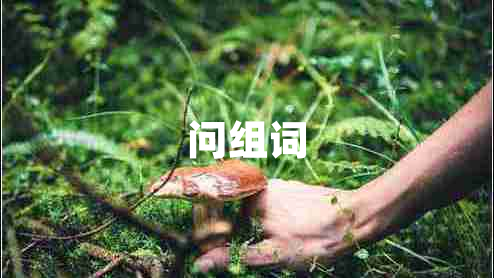 問(wèn)組詞