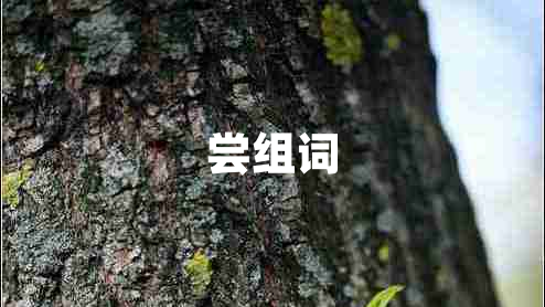 嘗組詞