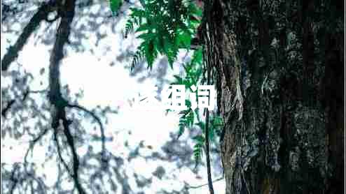 遂組詞