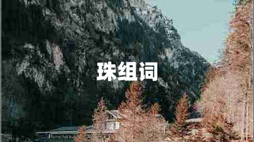 珠組詞