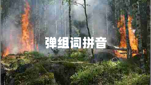 彈組詞拼音