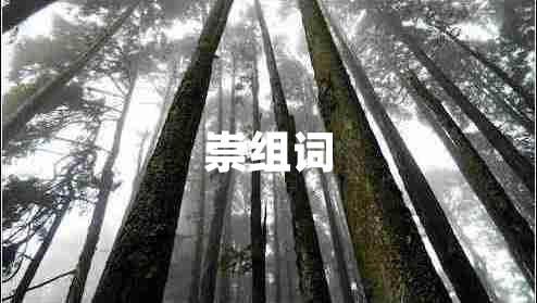 崇組詞