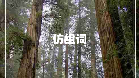 仿組詞