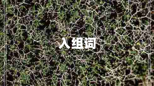 入組詞