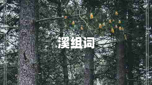 溪組詞