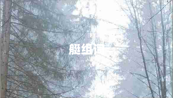 艇組詞