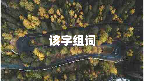 該字組詞