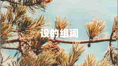 設(shè)的組詞