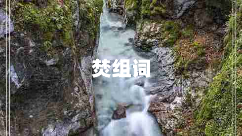 焚組詞