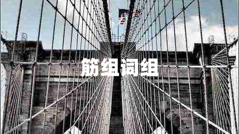 筋組詞組