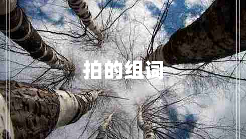 拍的組詞