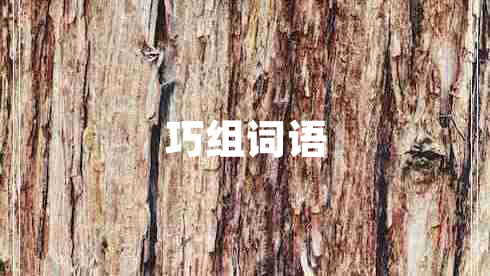 巧組詞語(yǔ)