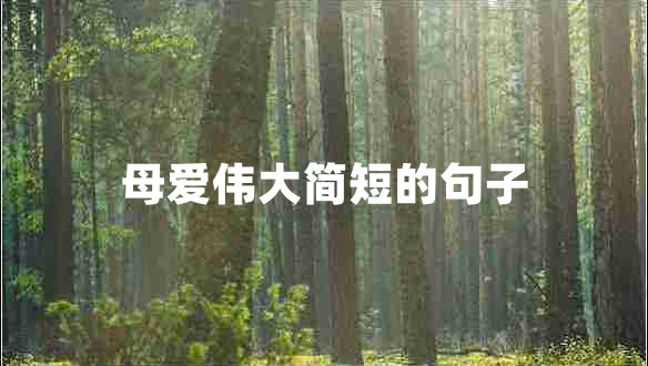 母愛偉大簡(jiǎn)短的句子