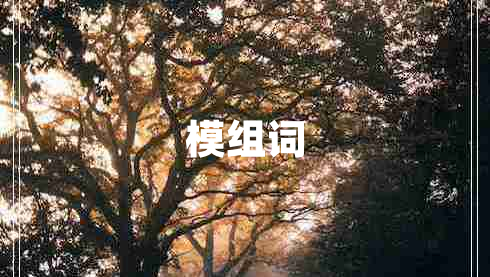 模組詞