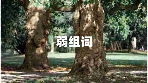 弱組詞