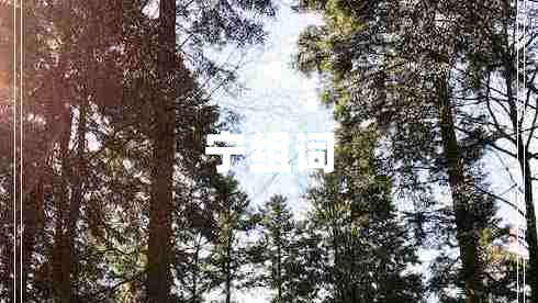 寧組詞