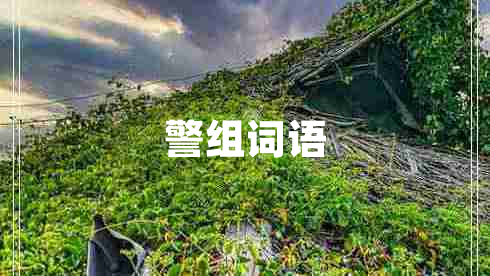警組詞語(yǔ)