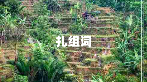 扎組詞