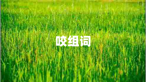咬組詞