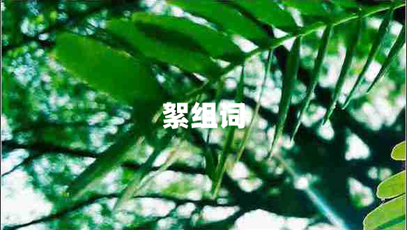 絮組詞