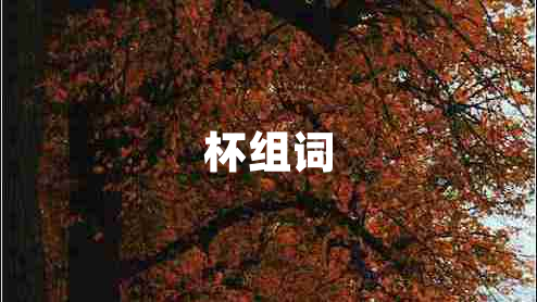 杯組詞