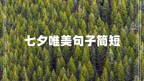 七夕唯美句子簡(jiǎn)短