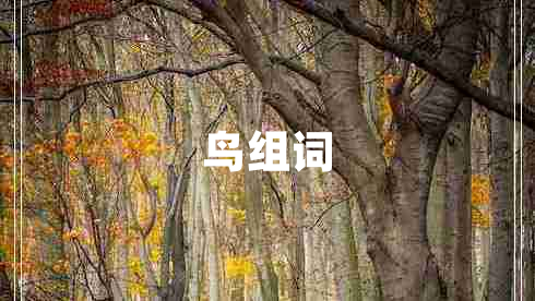 鳥(niǎo)組詞