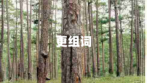 更組詞
