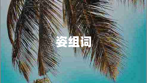 姿組詞