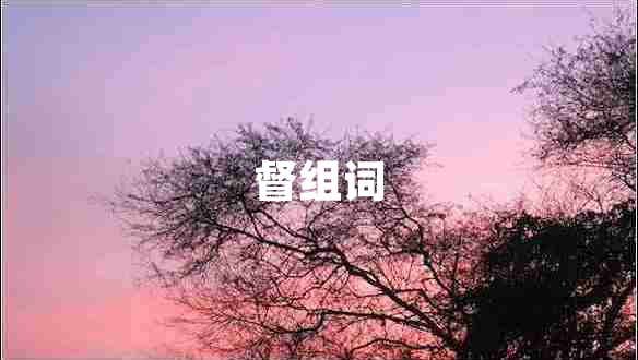 督組詞