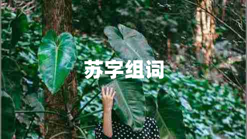 蘇字組詞