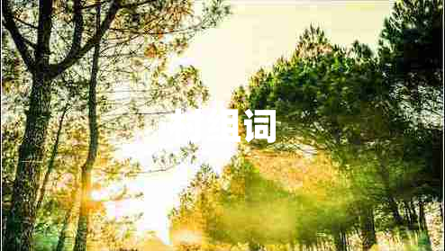 村組詞